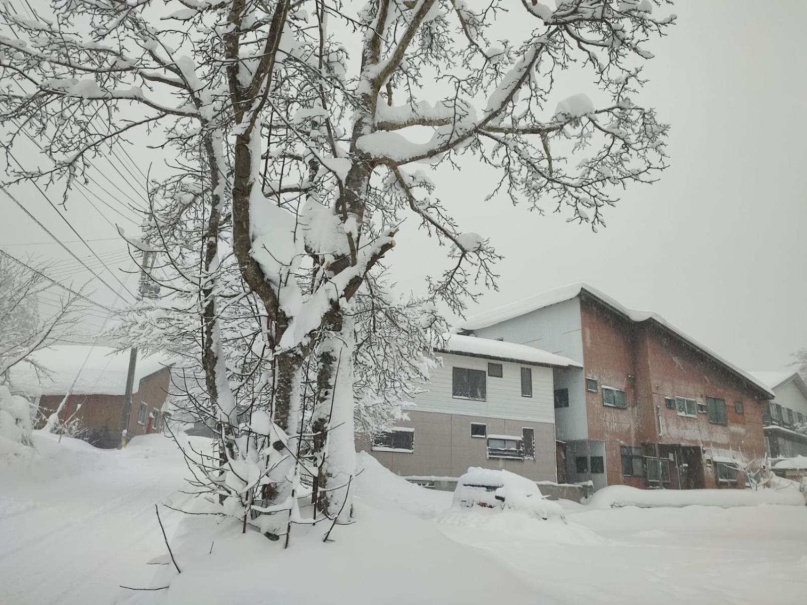 Peuf Lodge Otari Zewnętrze zdjęcie